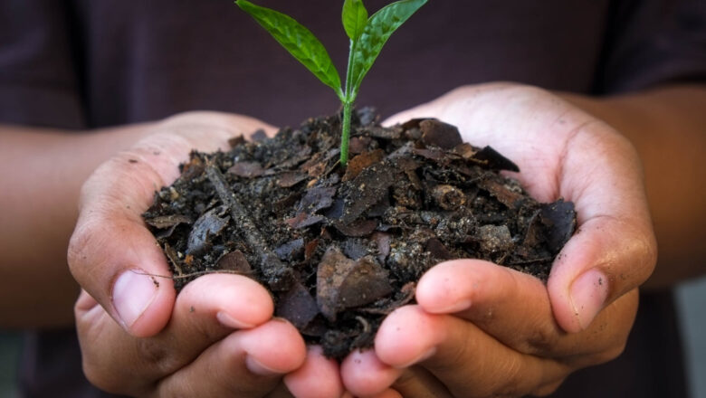 CSR Is the Missing Fuel Behind India’s Biochar Revolution