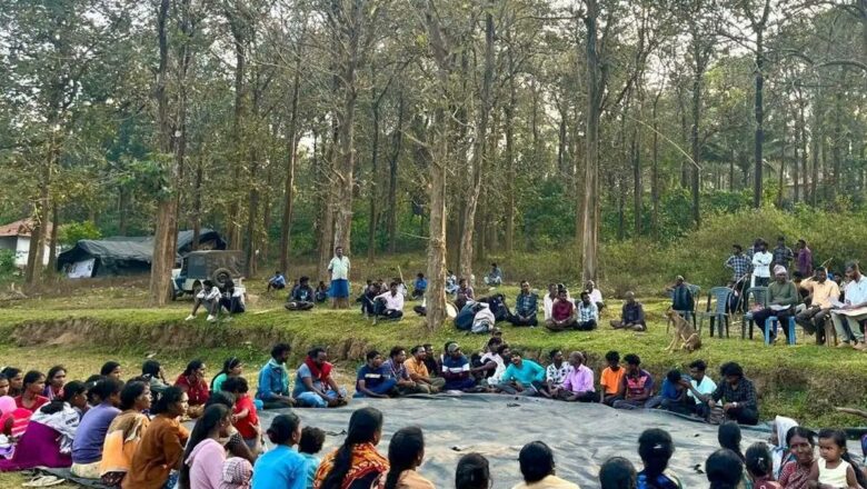 Centre Circular Allowing Private Plantations on Forest Land Sparks Fears of Commercialisation and Biodiversity Loss