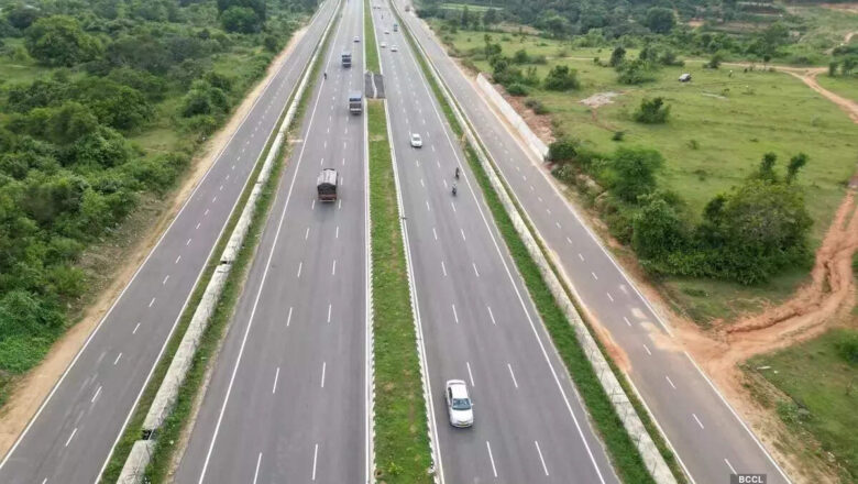 Delhi–Mumbai Expressway: 8 Years On, Tree Plantation Data Remains Unclear