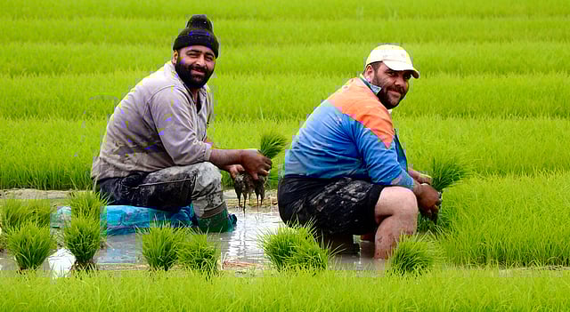 Food Trade Is Becoming a Geopolitical Pressure Point, Not a Neutral Market, Global Study Warns