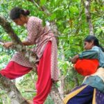 Designed Around Trees, This Western Ghats Retreat Shows How Tourism Can Heal Not Harm