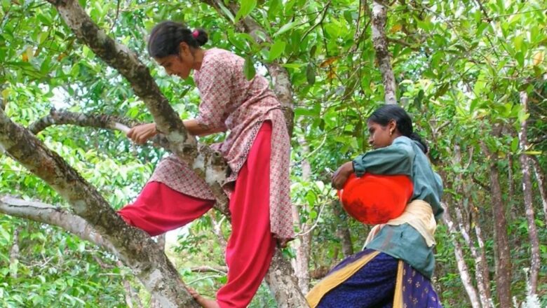 Designed Around Trees, This Western Ghats Retreat Shows How Tourism Can Heal Not Harm