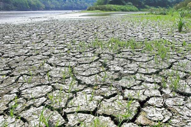 El Nino Looms Over Monsoon Months, Raising Drought Concerns Across India