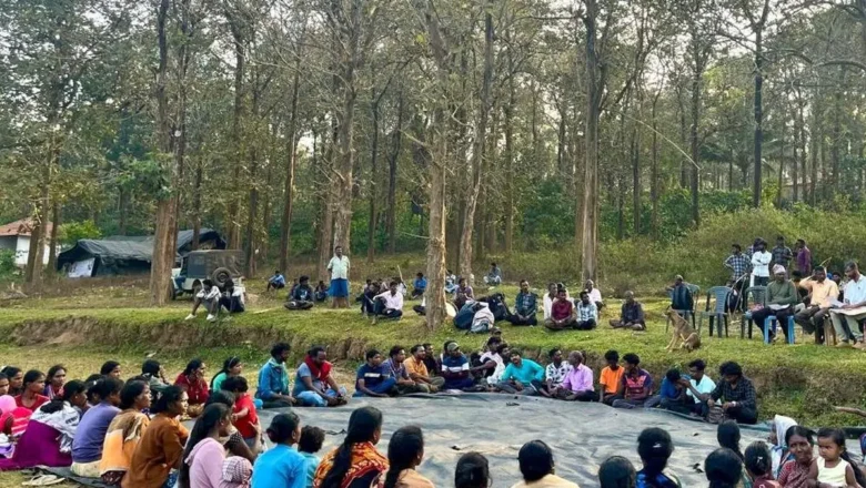 Government Opens Forest Plantations to Private Players, Conservation Concerns Grow