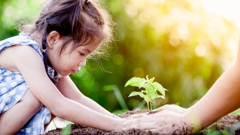 Why Planting More Trees May Harm Biodiversity and How New Global Standard Aims to Fix it