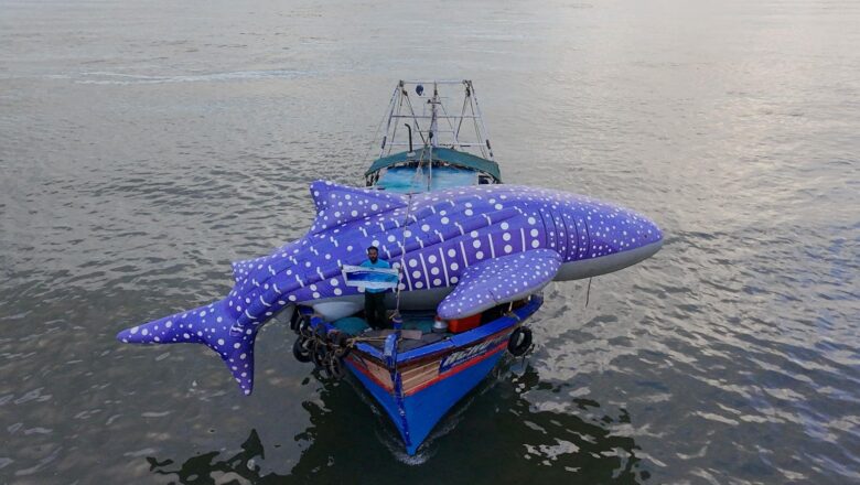 From Hunters to Protectors: How India Fishers Are Saving the World Largest Fish