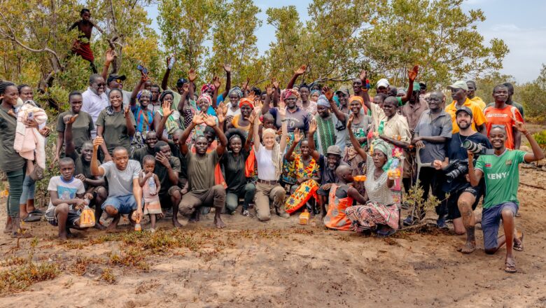Intermediaries Step In as Key Force Behind Successful Mangrove Restoration