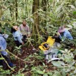 Warming Climate Is Helping Forests Pull More Methane Out of the Air, Long Term Study Finds