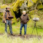Intense Sunlight Is Silently Shrinking Grassland Diversity Across the World, Scientists Warn
