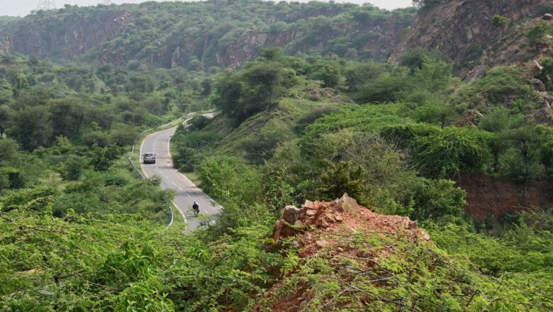 ‘Not a Single Inch’ Supreme Court Freezes Haryana Aravalli Zoo Safari Project Pending Expert Review