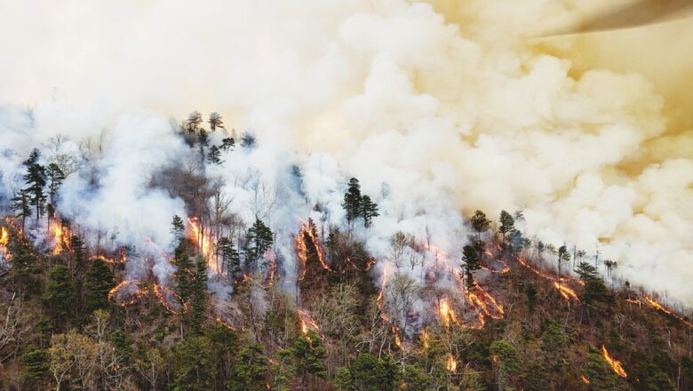 New Research Finds Stronger Link Between Wildfire Smoke Exposure During Pregnancy and Autism Risk in Children
