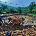 High Rainfall, Low Retention: Why a Village in Maharashtra Western Ghats Is Racing to Save Every Drop