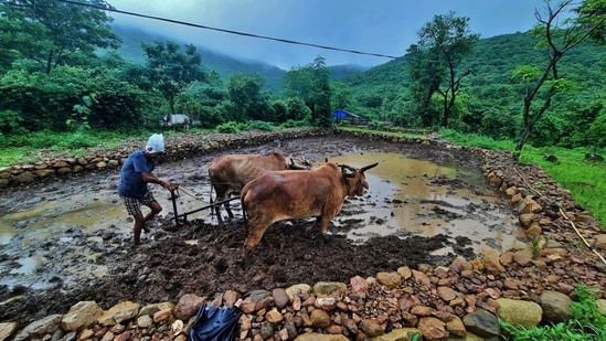 High Rainfall, Low Retention: Why a Village in Maharashtra Western Ghats Is Racing to Save Every Drop