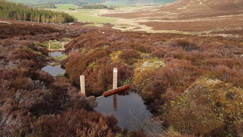 Scotland Whisky Heartland Offers Blueprint to Tackle Floods and Summer Droughts