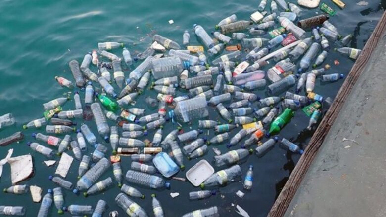 Microplastics Found Across Yamuna, Drains and Groundwater in Delhi, TERI Study Reveals
