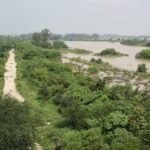 From Abandoned Mines to Butterfly Clouds: How Delhi Biodiversity Parks Are Rewriting the City Ecological Story