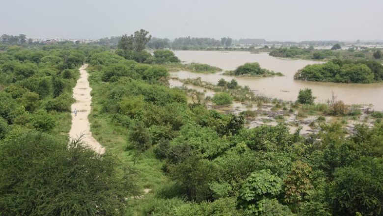 From Abandoned Mines to Butterfly Clouds: How Delhi Biodiversity Parks Are Rewriting the City Ecological Story