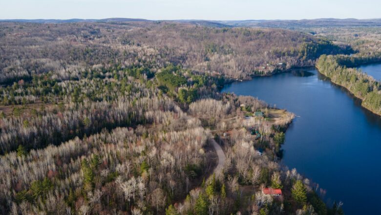 Global Study Finds Forest Loss Makes Watersheds ‘Leakier’ Threatening Long-Term Water Security