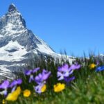 Global Warming Speeds Up But Nature Rhythm Slows, Major International Study Finds