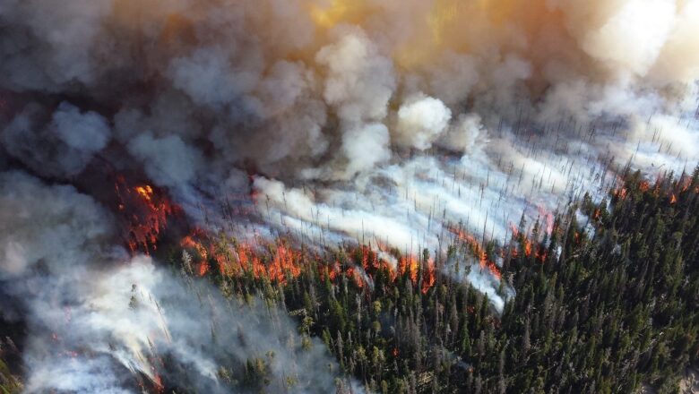 Upper Atmosphere Shifts Behind Australia Recent Droughts and Bushfires, Study Finds