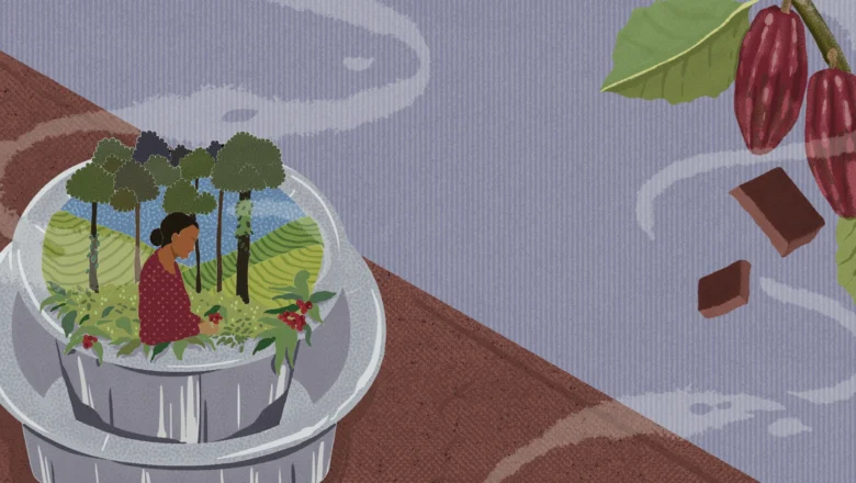 Climate Change Is Heating Up India’s Coffee Belt