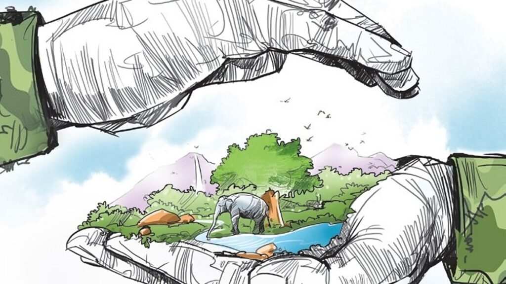 Rain-Filled Tree Hollows Are Tiny Lifelines for Forest Ecosystems, Study Finds