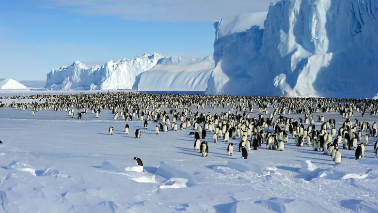 Rainfall Rising in Antarctica Threatening Ice Shelves and Wildlife
