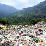 Forest Department Tightens Plastic Checks at Zero Point and Keeriparai