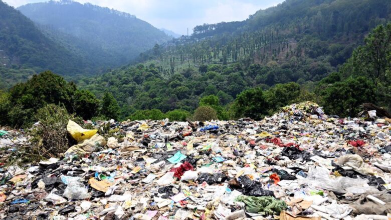 Forest Department Tightens Plastic Checks at Zero Point and Keeriparai