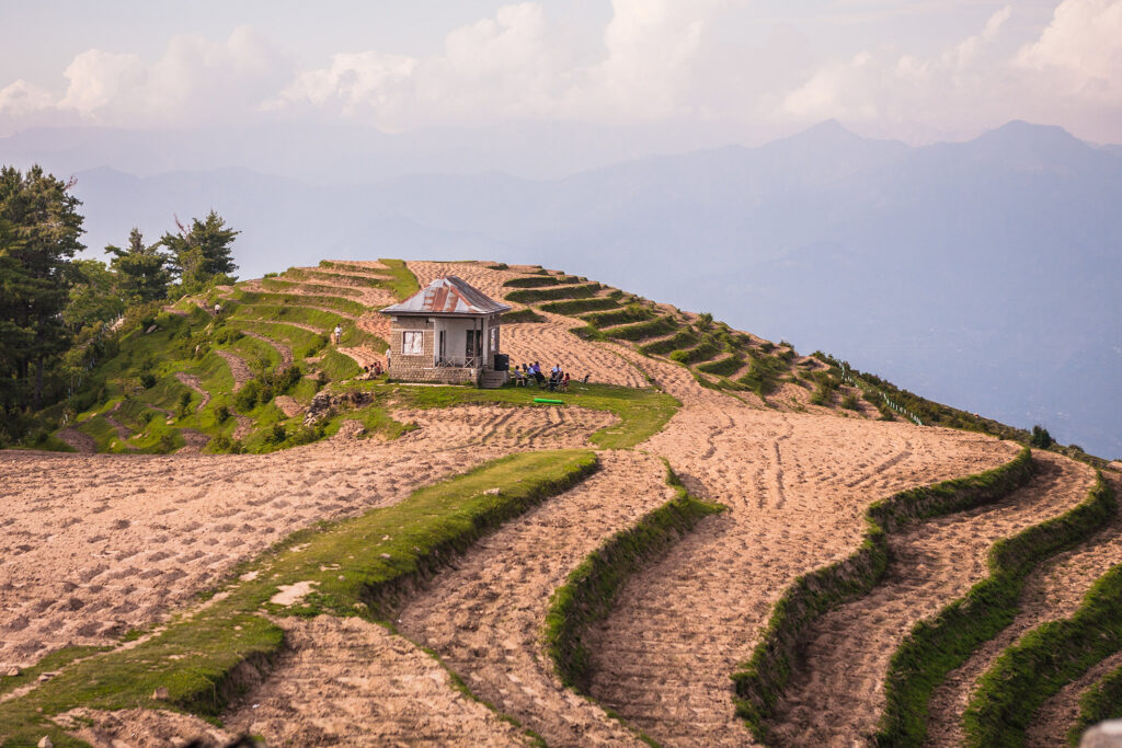 Study Finds Roadsides and Farms Can Support Native Bees in the Northwestern Himalayas