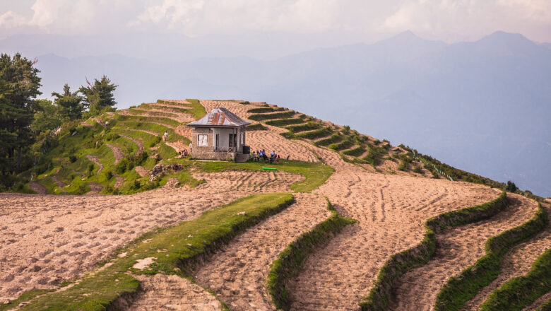 Study Finds Roadsides and Farms Can Support Native Bees in the Northwestern Himalayas