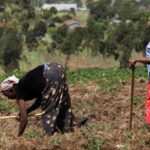 Eight Years On Global Restoration Initiative Spurs Resilience in Kenya and Beyond