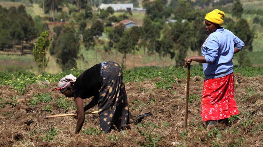 Eight Years On Global Restoration Initiative Spurs Resilience in Kenya and Beyond
