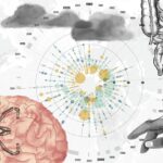 Rising Temperatures May Worsen Certain Genetic Diseases, Scientists Warn