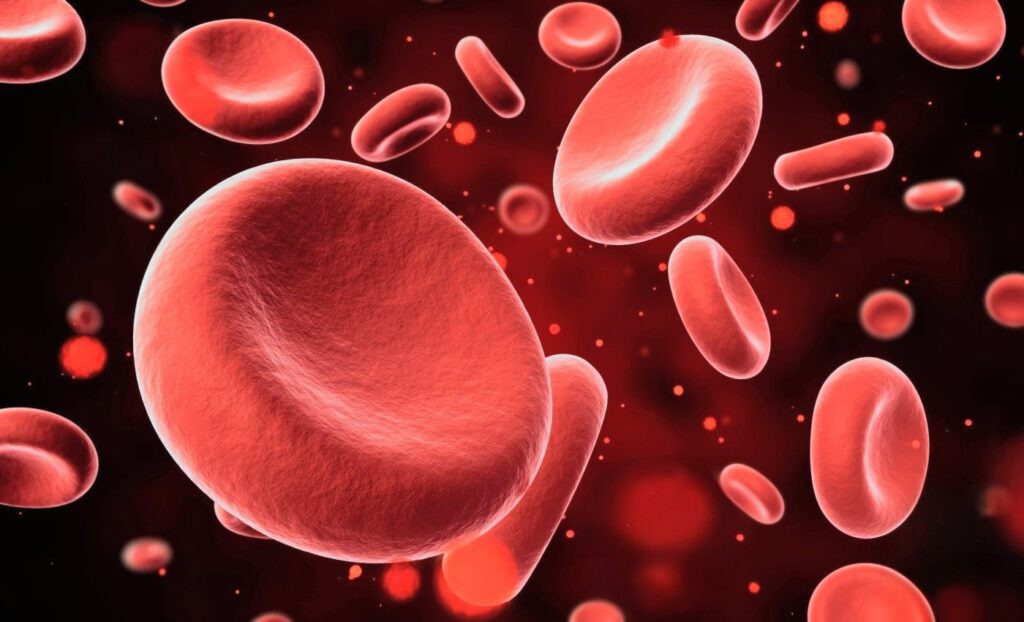 Rising carbon dioxide levels may weaken human bones, new research suggests