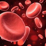 Rising carbon dioxide levels may weaken human bones, new research suggests