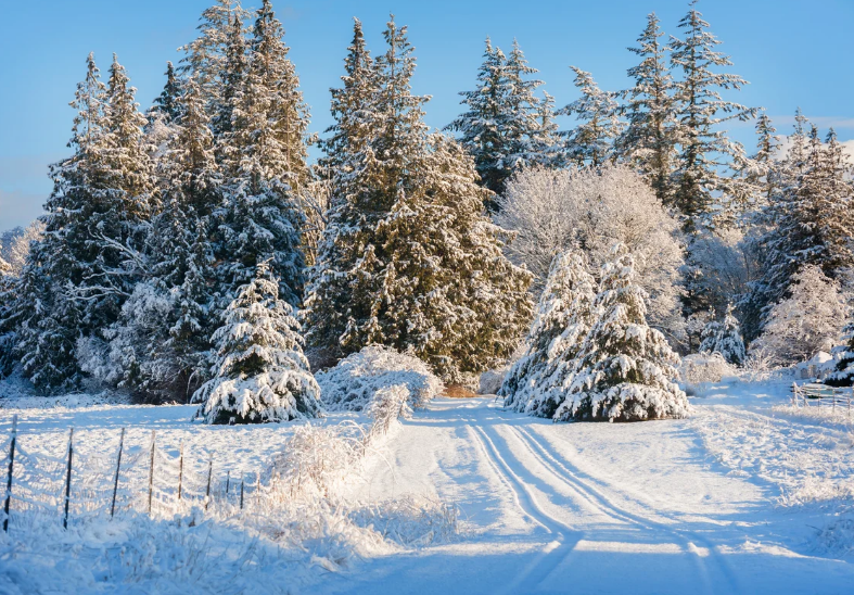 Winter Snow Cover Shrinking Across the Northern Hemisphere as Climate Patterns Shift