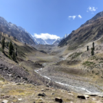 Climate Change and Human Activity Reshaping Central India’s Forests