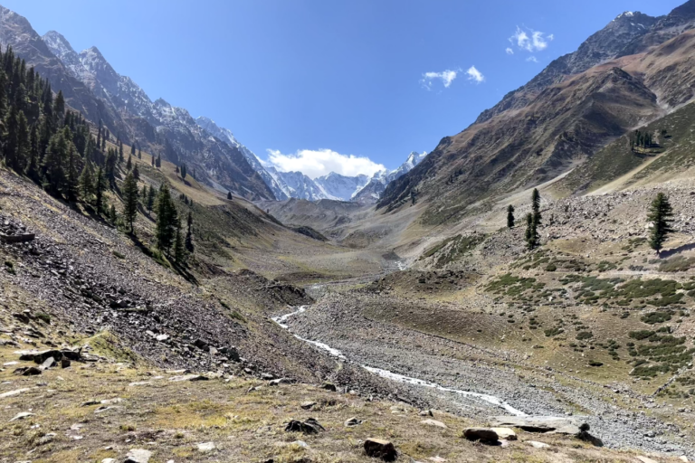 Climate Change and Human Activity Reshaping Central India’s Forests