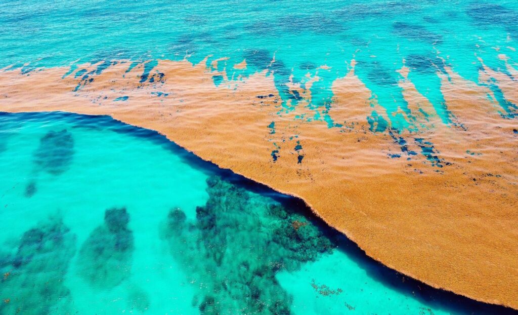 Scientists Identify a Unique Sea on Earth That Has No Shore