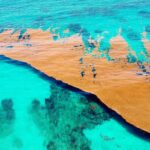 Scientists Identify a Unique Sea on Earth That Has No Shore