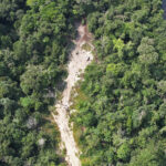 Community Mapping Helps Gabon Village Protect Ancestral Forest from Logging Threat