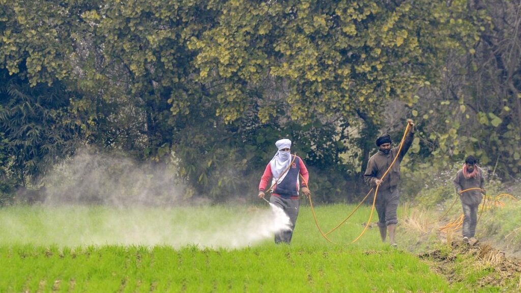 India Among Top Contributors to Global Pesticide Toxicity, Study Finds