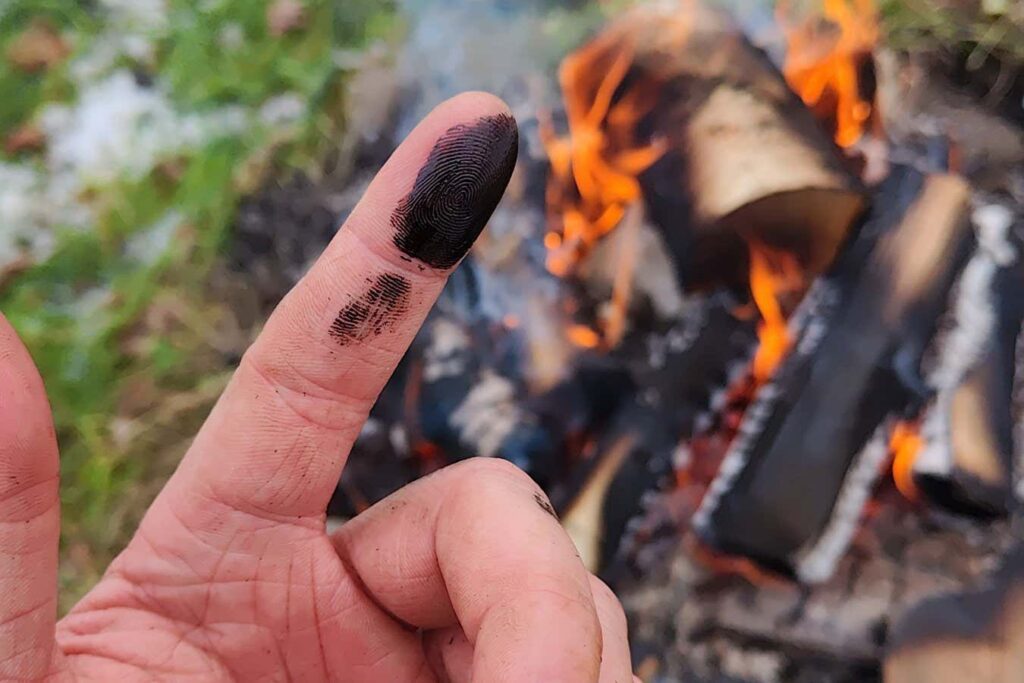 Neanderthals May Have Used Birch Tar as an Early Antibiotic to Treat Wounds, Study Suggests