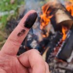 Neanderthals May Have Used Birch Tar as an Early Antibiotic to Treat Wounds, Study Suggests