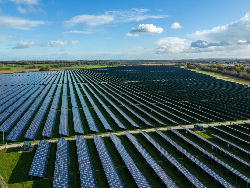 Solar Farms in England Turning Into Unexpected Wildlife Havens, Study Finds