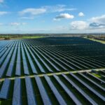 Solar Farms in England Turning Into Unexpected Wildlife Havens, Study Finds
