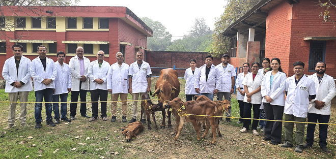 Breakthrough in Indigenous Breeding: IVRI Produces Elite Sahiwal Calves Using Advanced Reproductive Technology
