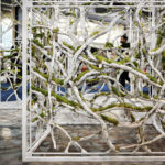 Recycled Paper Transformed Into Living Installation as ‘Morphosis’ Blends Art, Ecology and Sustainable Design