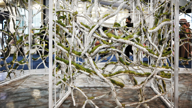 Recycled Paper Transformed Into Living Installation as ‘Morphosis’ Blends Art, Ecology and Sustainable Design